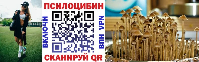 Псилоцибиновые грибы мицелий  Лосино-Петровский 